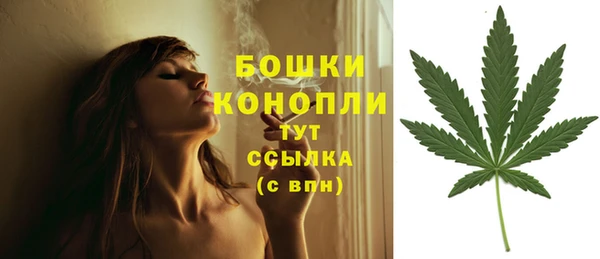 МДПВ Волосово