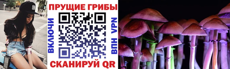 Псилоцибиновые грибы GOLDEN TEACHER Красноармейск