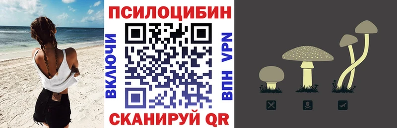 Купить где  Красноармейск  Галлюциногенные грибы MAGIC MUSHROOMS 